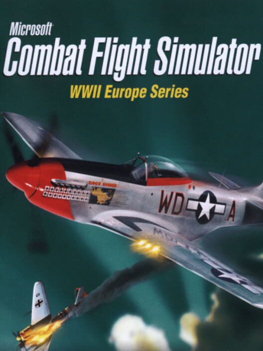 Microsoft Combat Flight Simulator
