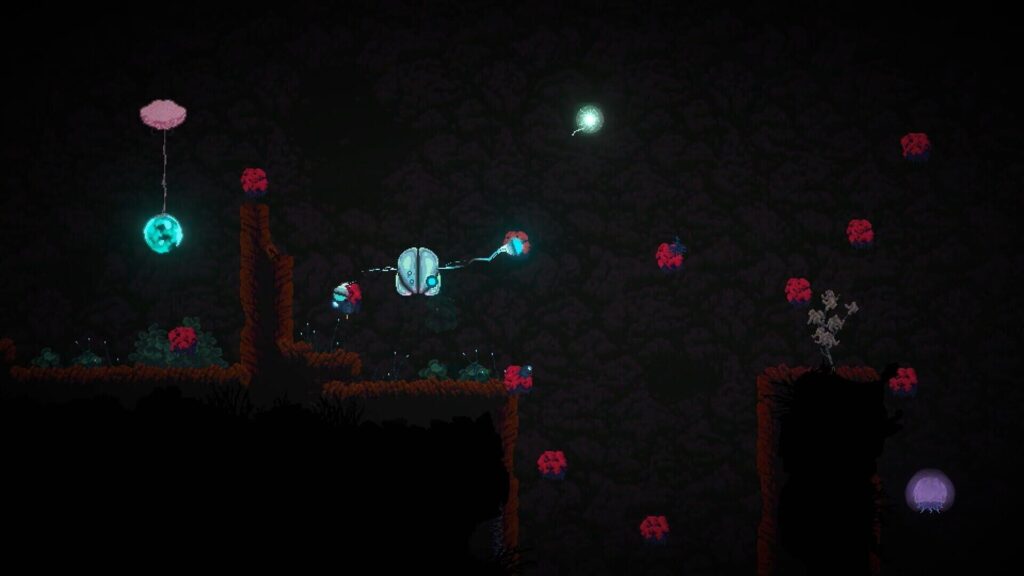 Seed screenshot