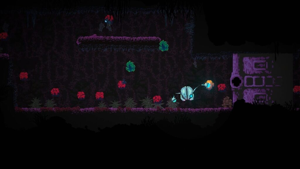 Seed screenshot