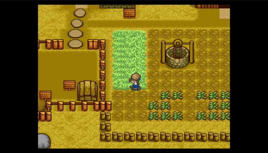 Harvest Moon screenshot